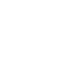 DELUX HOLDING